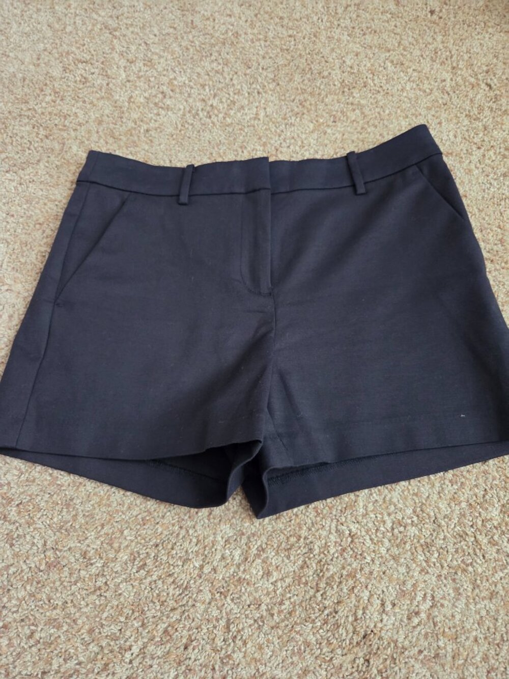 Loft Riviera Shorts Size 4 - Picture 2 of 6